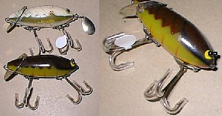 Baby Crab Spooks