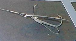 Bottom view