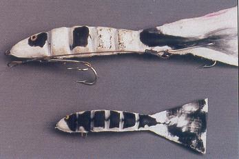 Flexie Broadtail