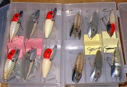 Donnally Clip Crazy Crawlers